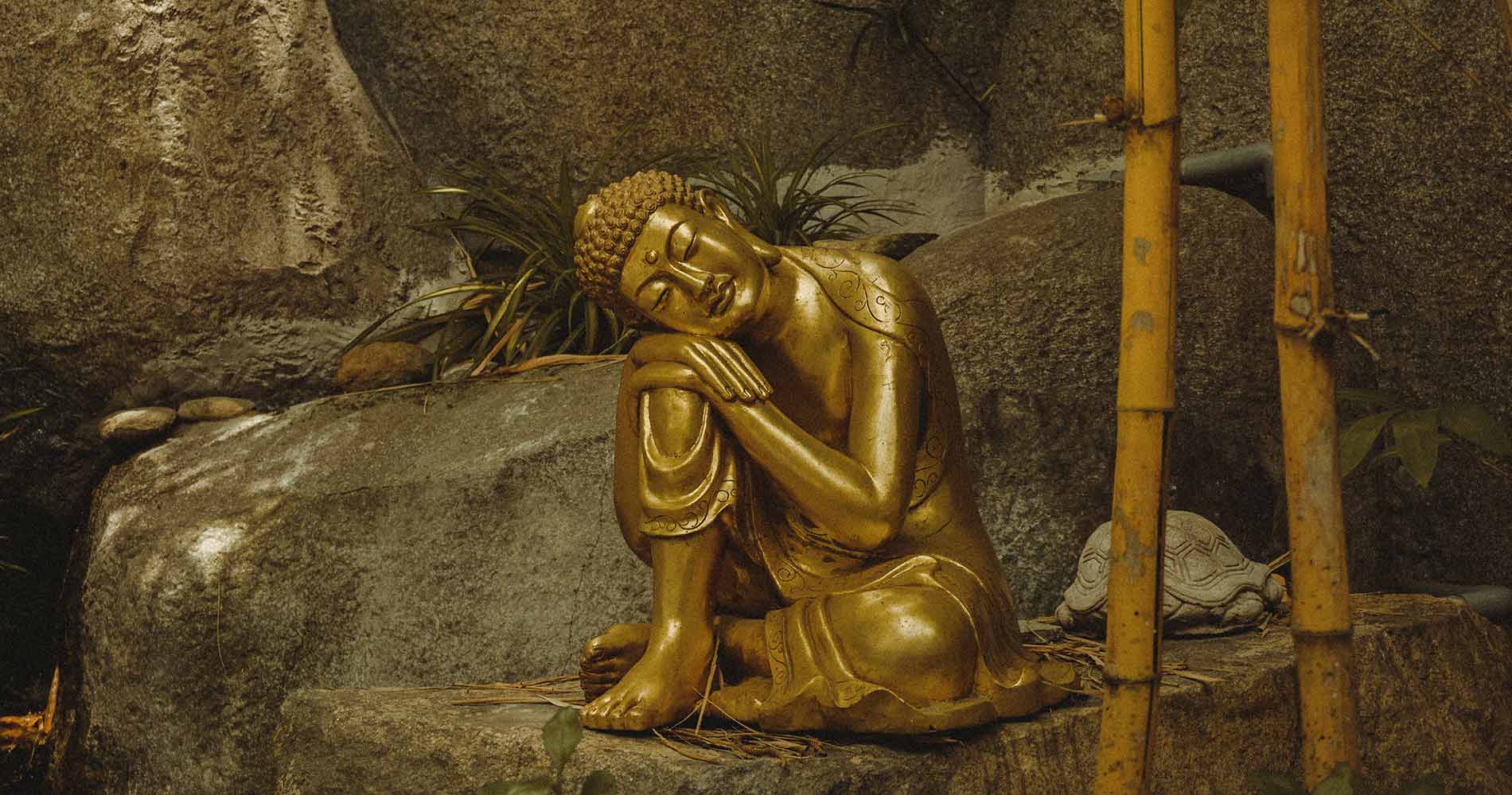 Keeping Goals Secret, Headspace and Mindfulness