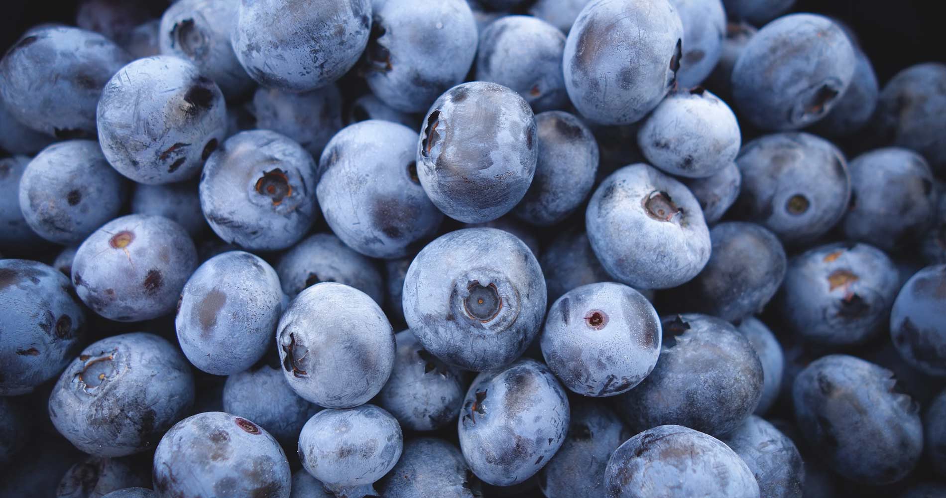 Health, Immunity and Preparing for the next steps