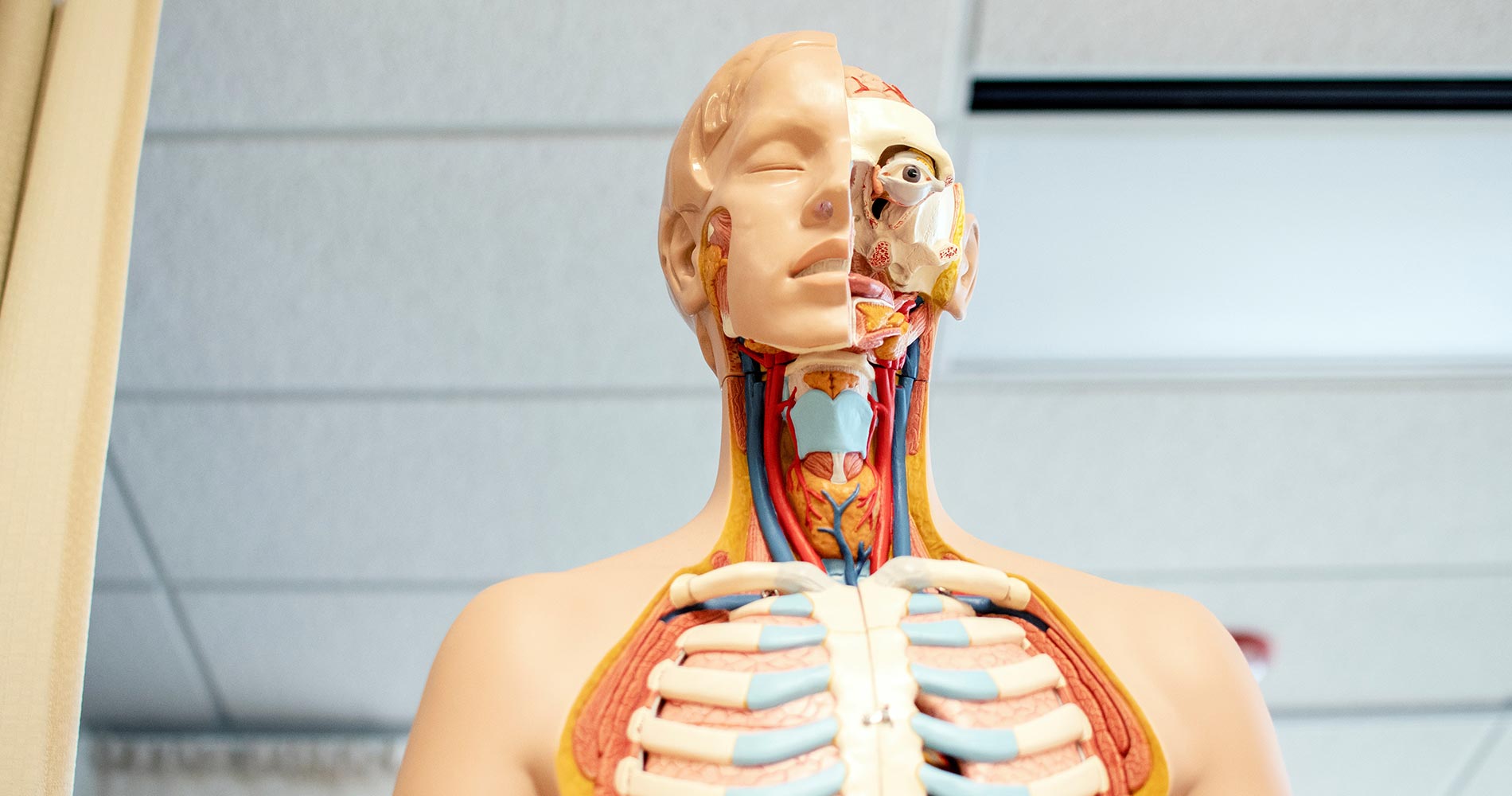 Running, The Human Body and Award Winning
