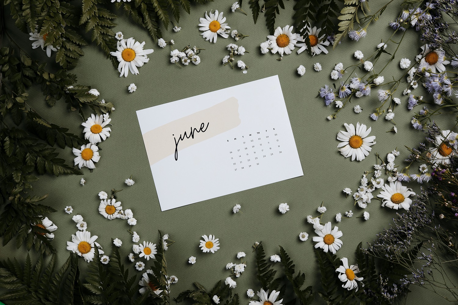 Efficient Wealth Update – June 2021