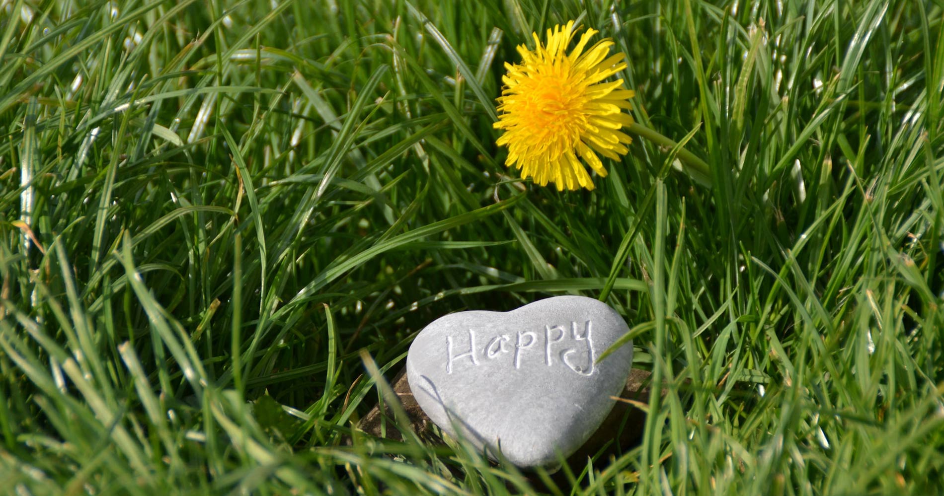 Thinking, Happiness and Giving with a Warm Hand