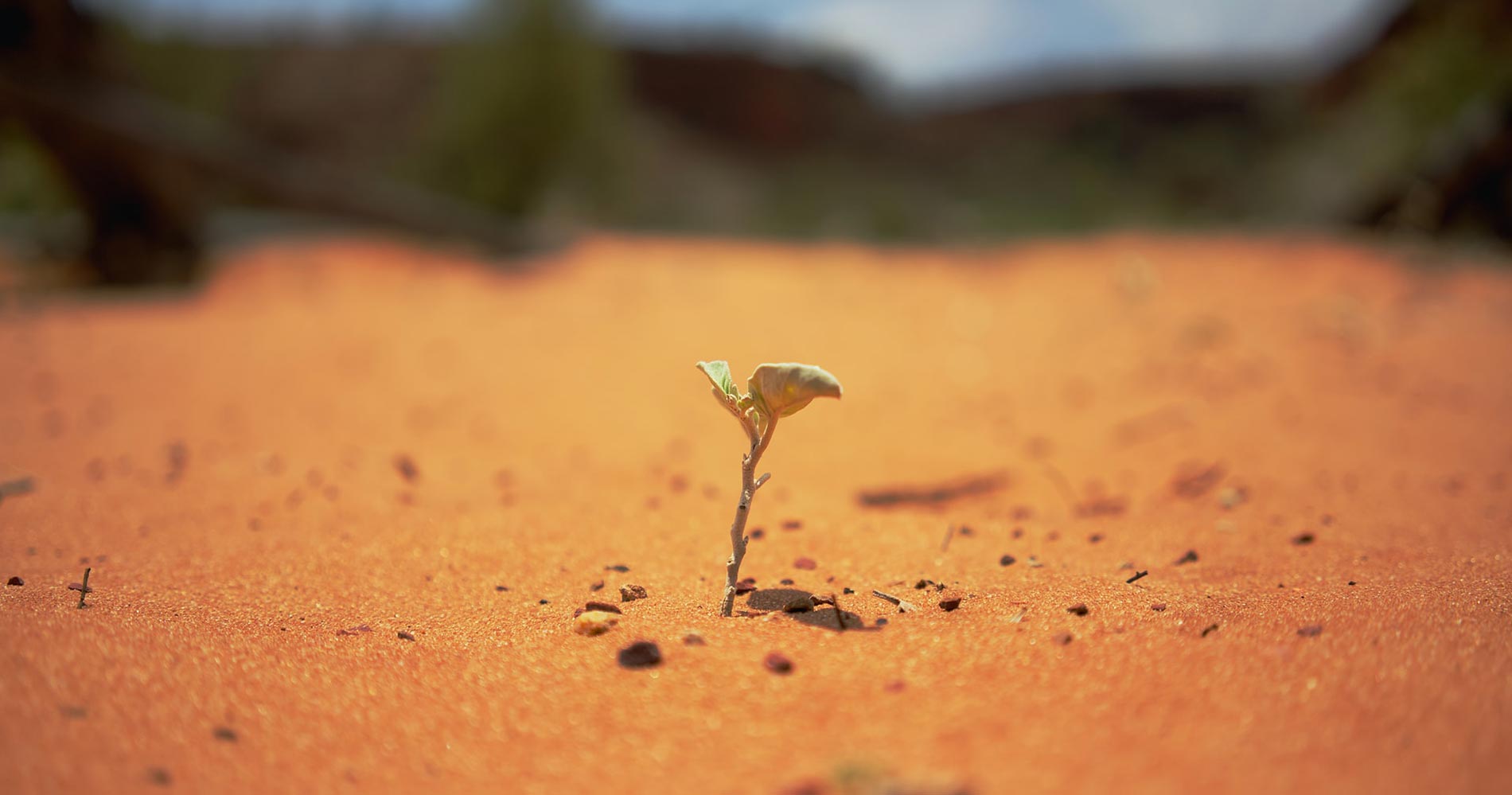 Endurance, Thoughts and Legacies