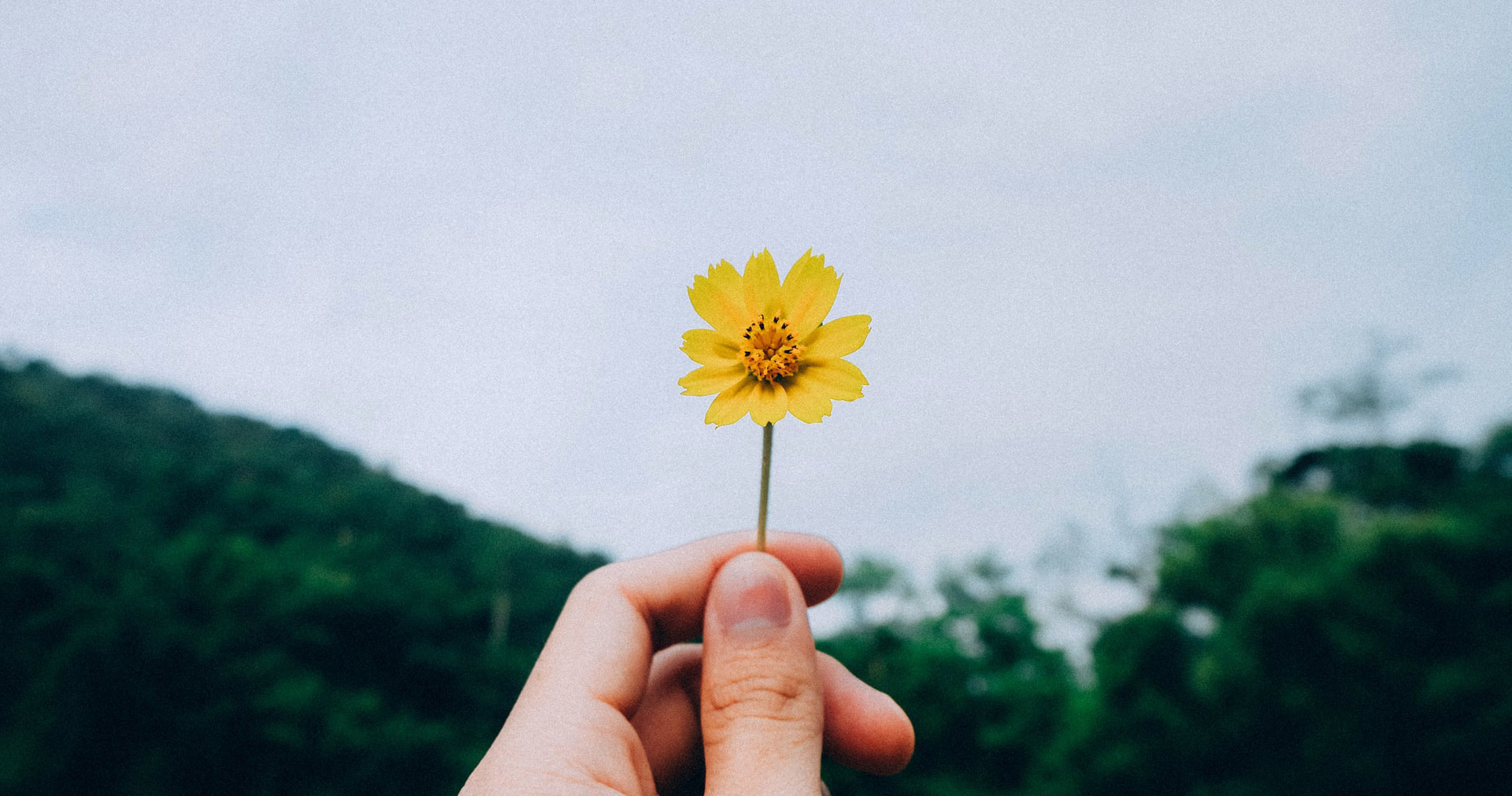 Good to Great, Happiness and Lasting Power of Attorney