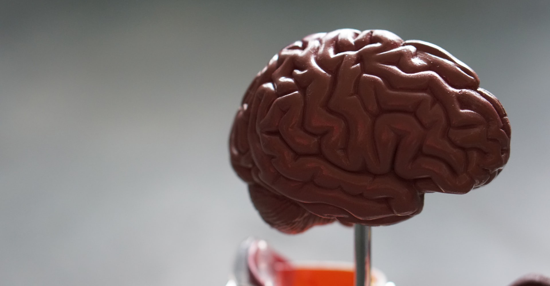 Brain Bootcamp, Standing Desks and Inflation